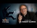 Bishop Barron on "Gravity" (SPOILERS)