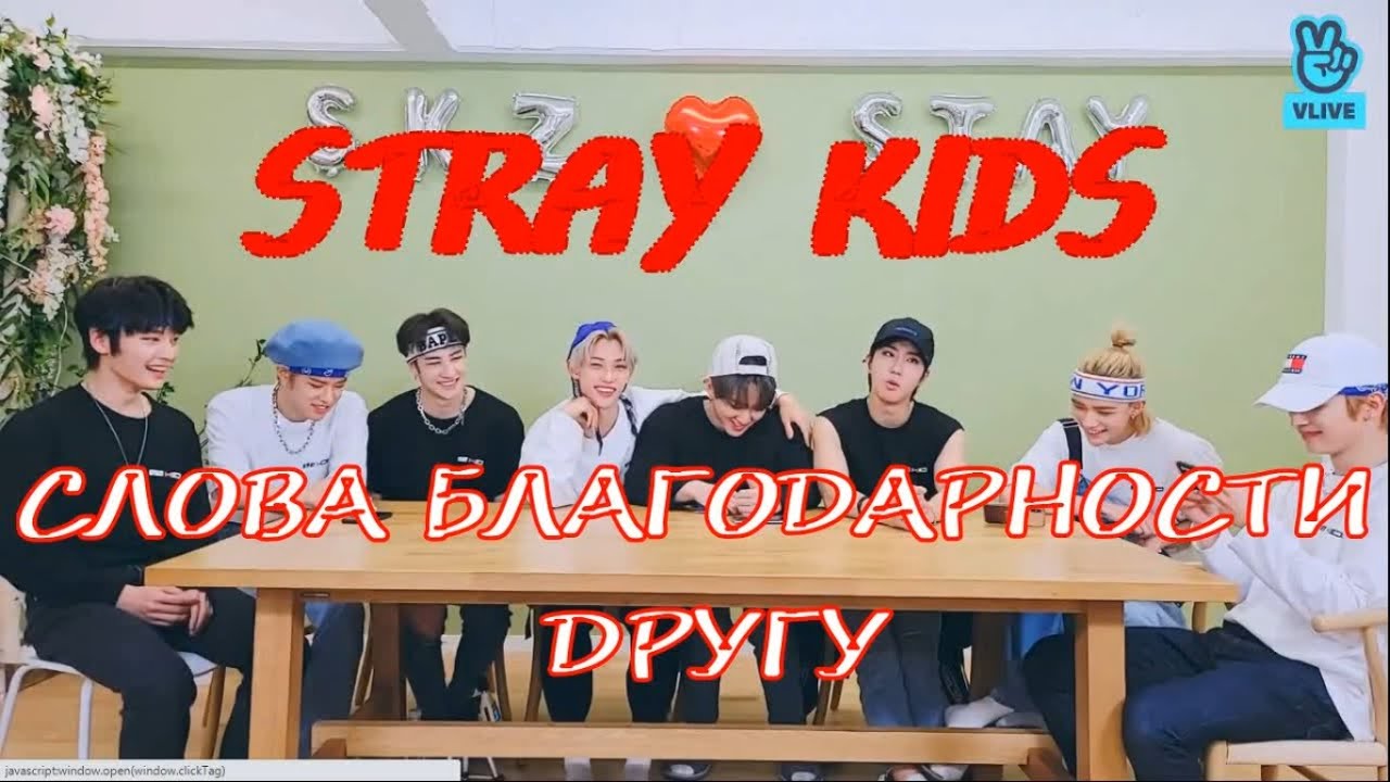 МИНИ-МИНИ ФАНМИТИНГ STRAY KIDS. 3 ЧАСТЬ. РУС САБ/RUS SUB