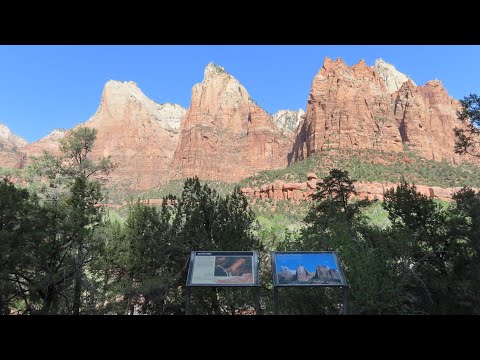 Video: De bästa vandringarna i Zion National Park