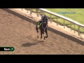 Majesto works 4.29