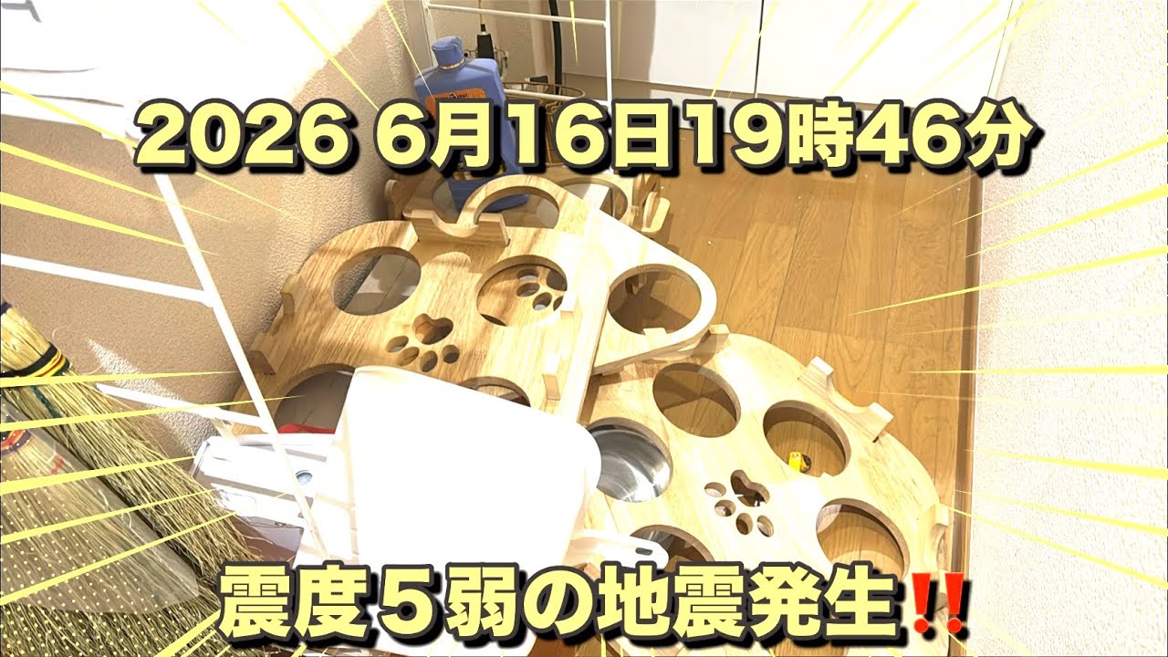 2026 6月16日震度５弱の地震直後の猫達の様子です