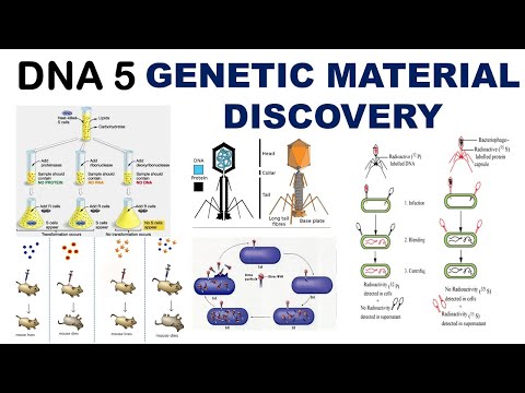 Search for Genetic Material | Griffith Experiment | Hershey & Chase experiment | Dr Ghanshyam Jangid