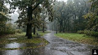 Autumn Rain in an Empty Park | Fall Rain Sounds for Sleep | Rainy Day Ambience