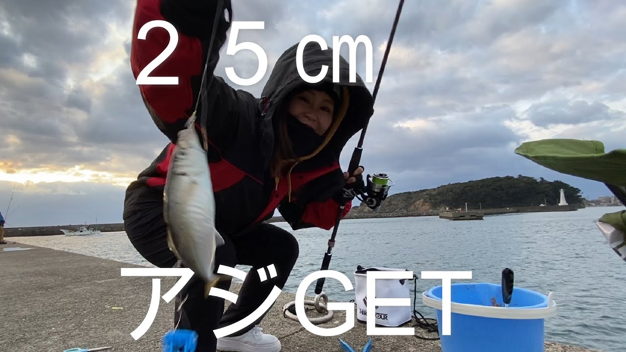 【三重県志摩市】大量のアジ！良型アジも！