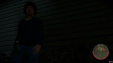 Packanack balcony window glitch f13