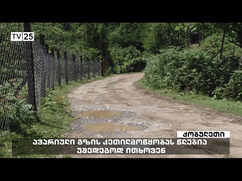 ავარიული გზის კეთილმოწყობას წლებია უშედეგოდ ითხოვენ
