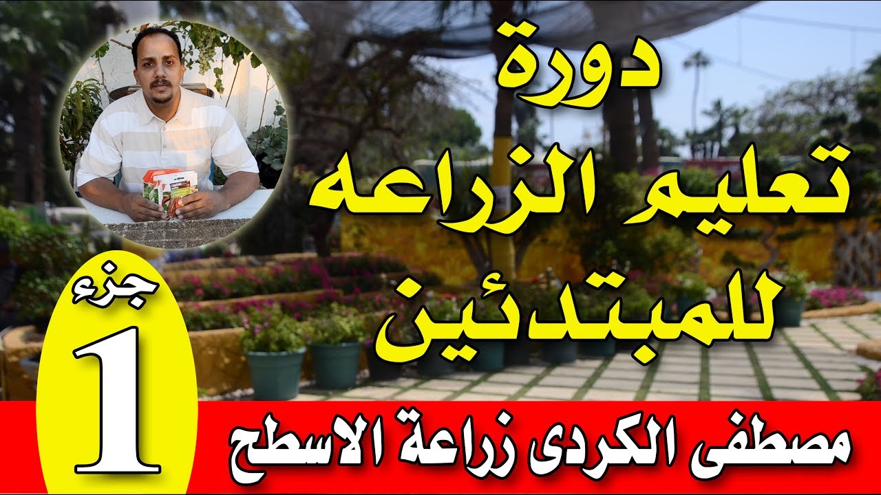 كيف تزرع السطح والبلكونة طماطم وخضار بسهولة  - الجزء الأول - مقدمة