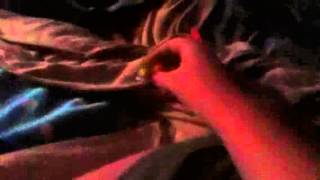 Boy squinkie shorts: The dark