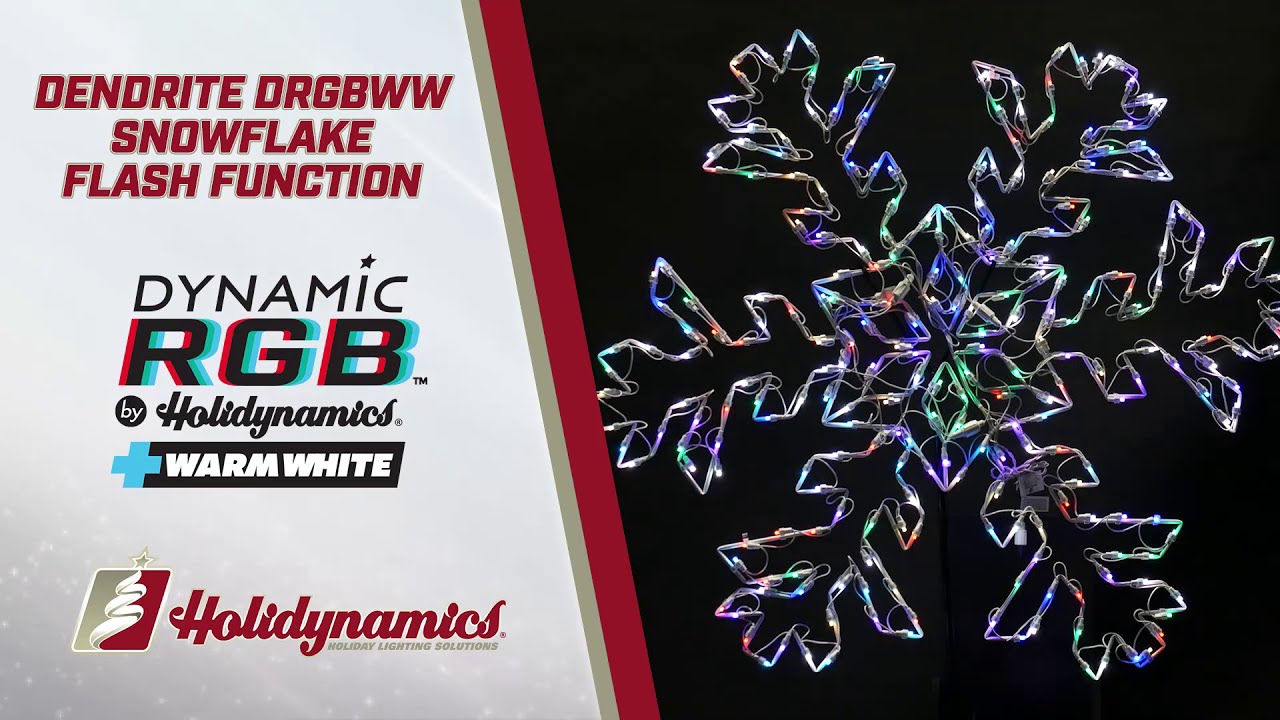 Dynamic RGBWW Dendrite Snowflake by Holidynamics, Inc.