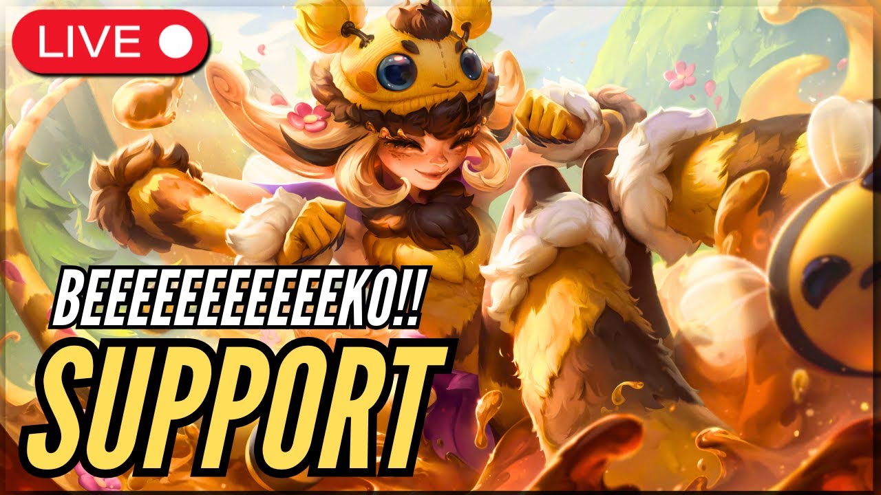 Full Educational NEEKO Support day on Main Account - BZZZ BEEKO