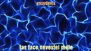 I-as face nevestei mele negativ karaoke+versuri