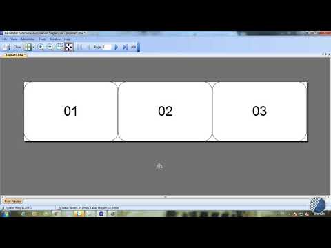 Video Hướng dẫn cách tạo số nhảy trong Bartender 9 4 | Công... - youtube