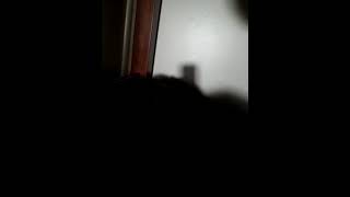 Cat Activation noise