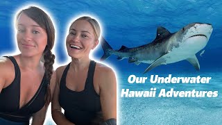 SHARK ADVENTURES! (2023 Hawaii Vlog)