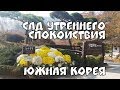 Южная Корея//Сад Утреннего спокойствия//Осень в Корее