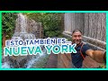Parques ESCONDIDOS en el Midtown de NUEVA YORK. Guía New York Molaviajar