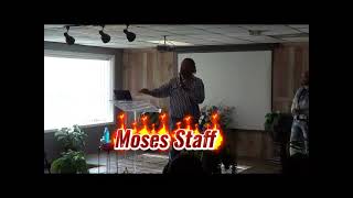 Moses Staff