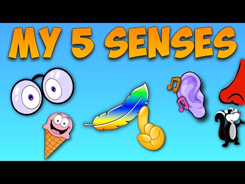 5 senses sing-a-long