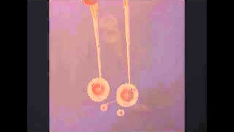 Orion Parachute Testing: Fed. 29, 2012