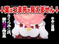 "つま先が見えない族"だということを実験して証明するみこちｗ【さくらみこ/ホロライブ 切り抜き】