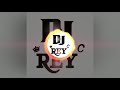 DJ REY - QUE PERRA MI AMIGA ( VERSION ELECTRO )