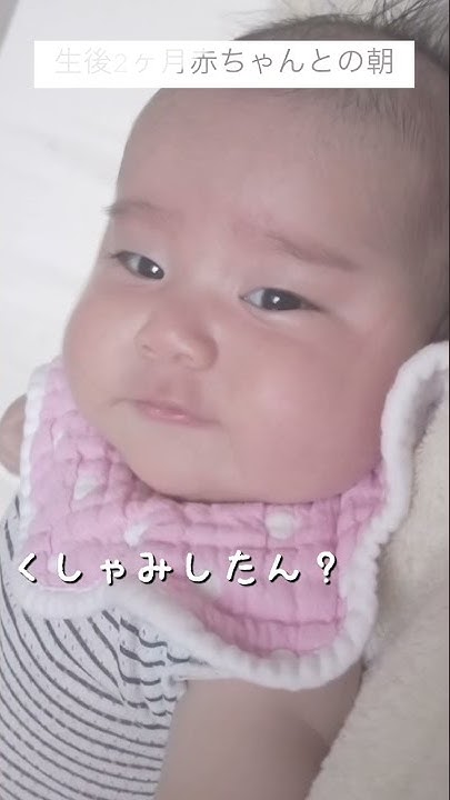 さくたんちゅーぶ 11歳年の差夫婦の子育てチャンネル Youtube