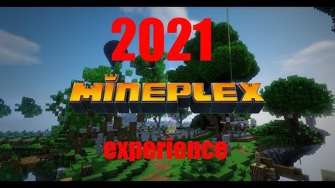 THE 2021 MINEPLEX EXPERIENCE