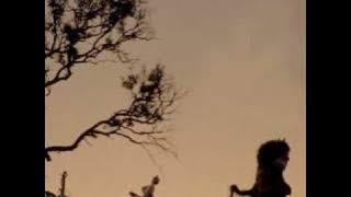 Igloo - Karen O and the Kids