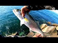 PESCA A SPINNING (anjovas y bacoretas)