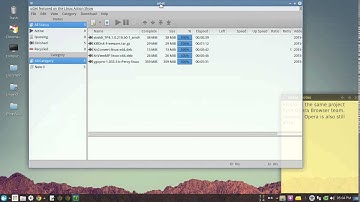 Install Vivaldi Browser for my Xubuntu 14.04.1