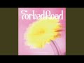 Forked Road
