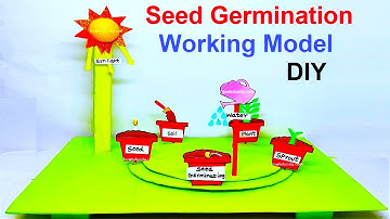 seed germination working model (3D) | inspire award science project - diy  @howtofunda | craftpiller
