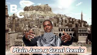 DJ Berkovic ft. Plain Jane x Grani Remix Resimi