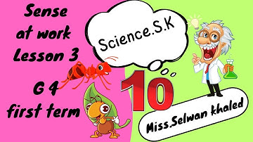 SCIENCE | Grade 4 | Sense  at  Work Unit 1 - Concept 2 - Lesson 3 | 2024