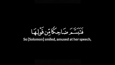 فَتَبَسَّمَ ضَاحِكًا مِّن قَوْلِهَا {سورة النمل} بلال دربالي🐜|كروما #قرآن #قران_كريم #الله #quran