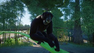Planet Zoo Episode 6 Wild Woods Zoo - Decorating Gibbon Habitat River Ride Start