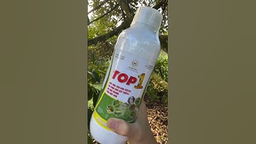Thuốc trừ sâu TOP 1 hiệu quả bất ngờ !