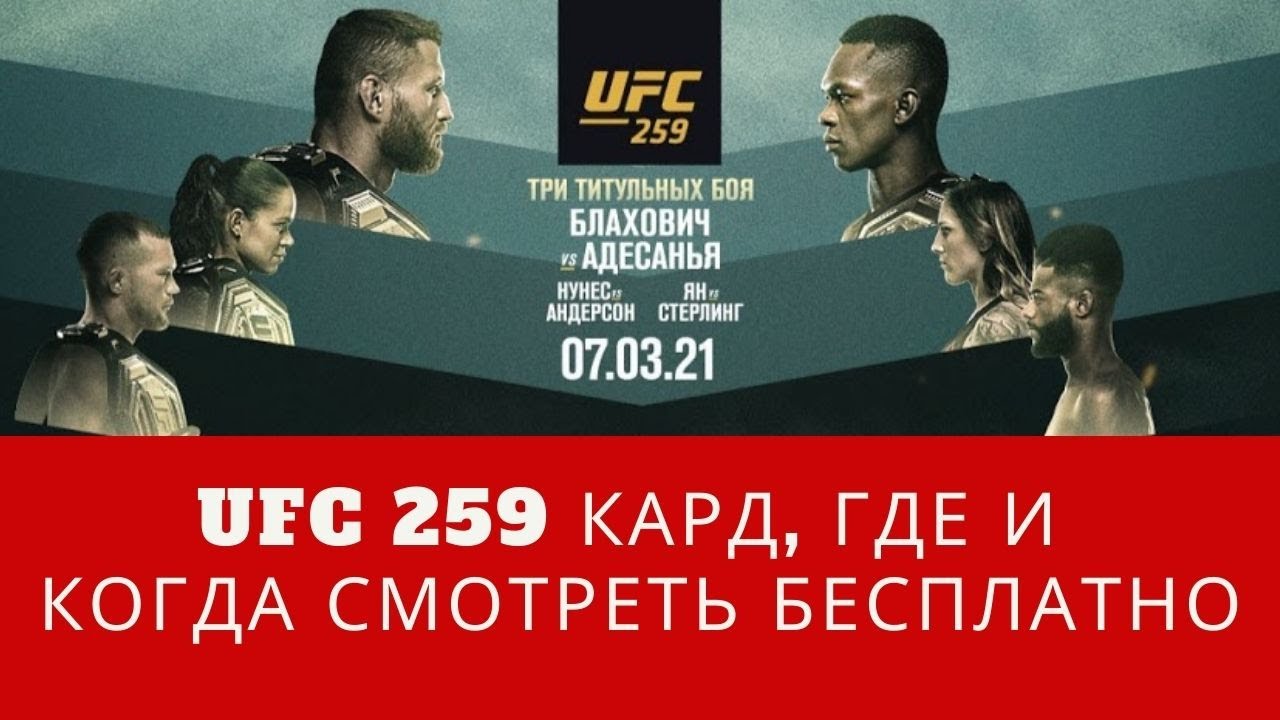 Титул бмв в юфс