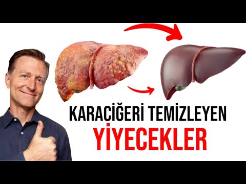 Dr. Eric Berg - Türkçe Kanalı