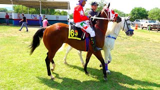 Semifinal Futurity Texano/Bolitas C.La Estrella