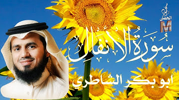 سورة الانفال ابو بكر الشاطري  surah elanfal