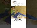 【30歳になったら住居になってそう】反抗期の方向性をミスってしまった少年、アンドレス君に関する雑学