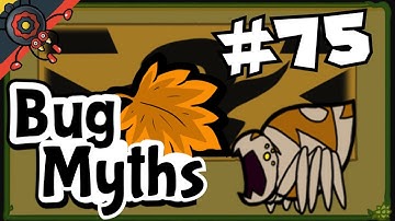 Bug Fables Myth #75: Miracle Spuder