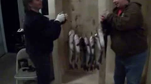 Lisa Reese "Redneck sisters cat fishing"