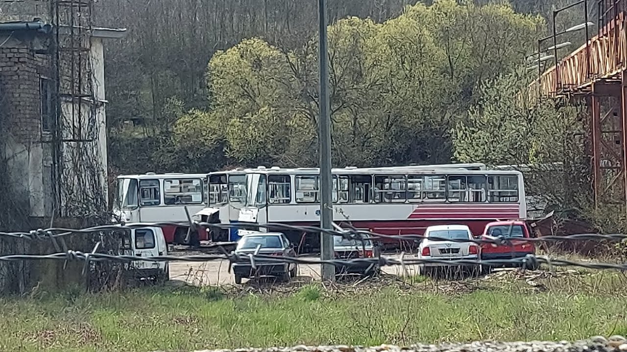 Ex. Nógrád Volános/KMKK-s selejtezett Ikarus buszok a méhtelepen 2023.04.16