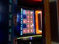 Max bet major rising riches pokie machine feature