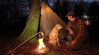 Solo Bushcraft Trip - Sleeping under a Tarp with my Dog in Cold Weather - Cooking with Wild Food