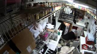 Georgetown Coffee Stand Burglary