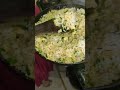 chalo khane chalte Hain #food #video #recipe #cooking