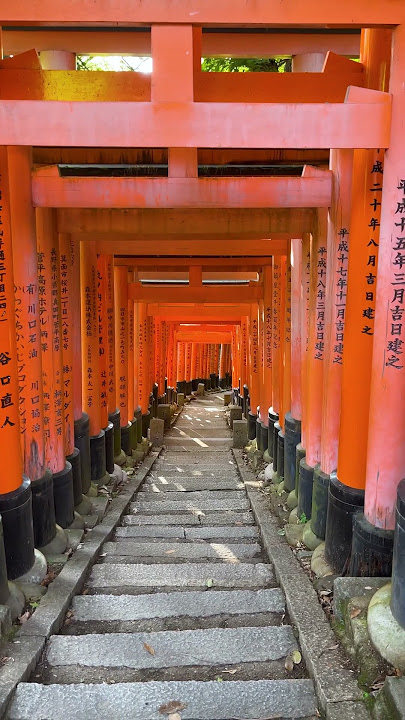 What's Hiding Behind Japan's RED Gates? #japantravel #traveljapan #shorts